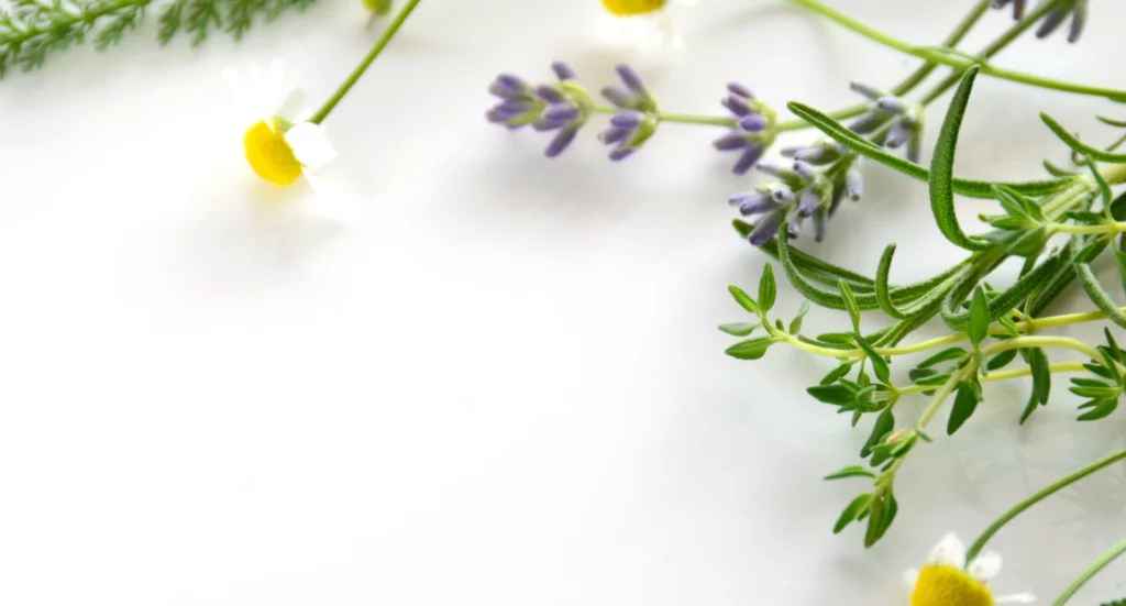 aromaterapia detossinante fiori